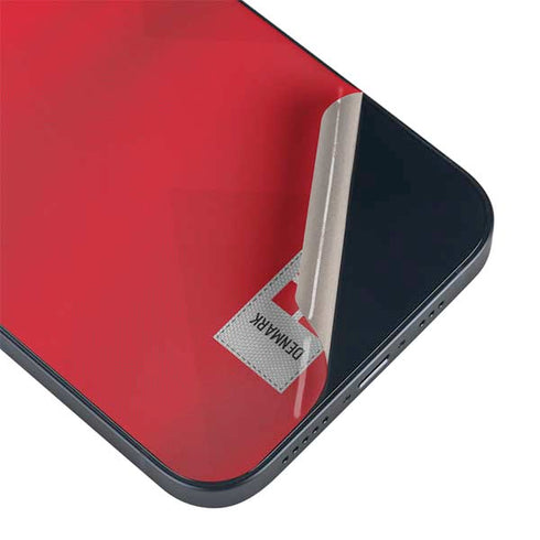 Denmark Soccer Flag iPhone Skins